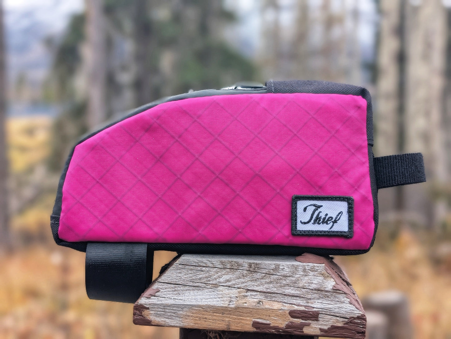 Snack Break - Fuchsia