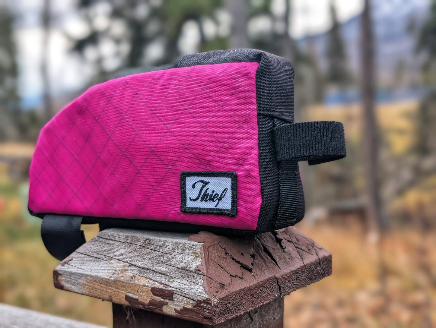 Snack Break - Fuchsia