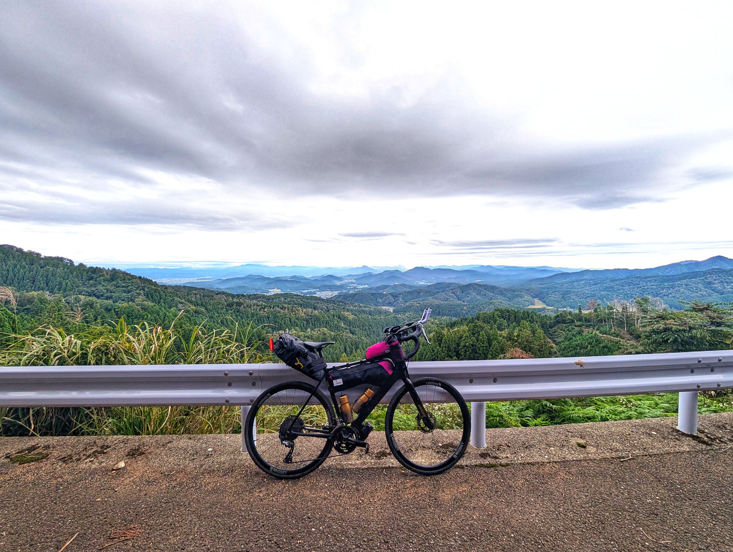 Half Frame Bag